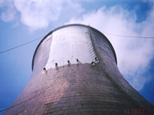 Ŷ